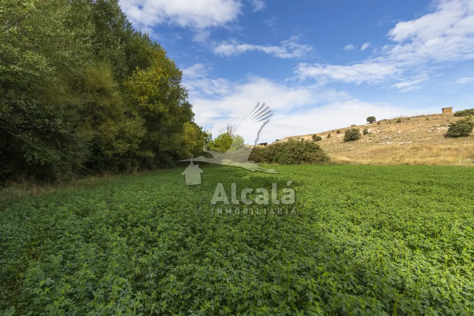 Terreny rústic en venda a Hueva, imagen 15