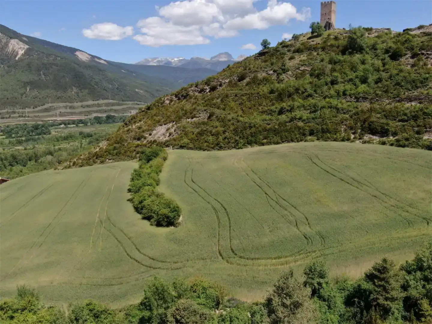 Finca rústica en venda en Sabiñánigo