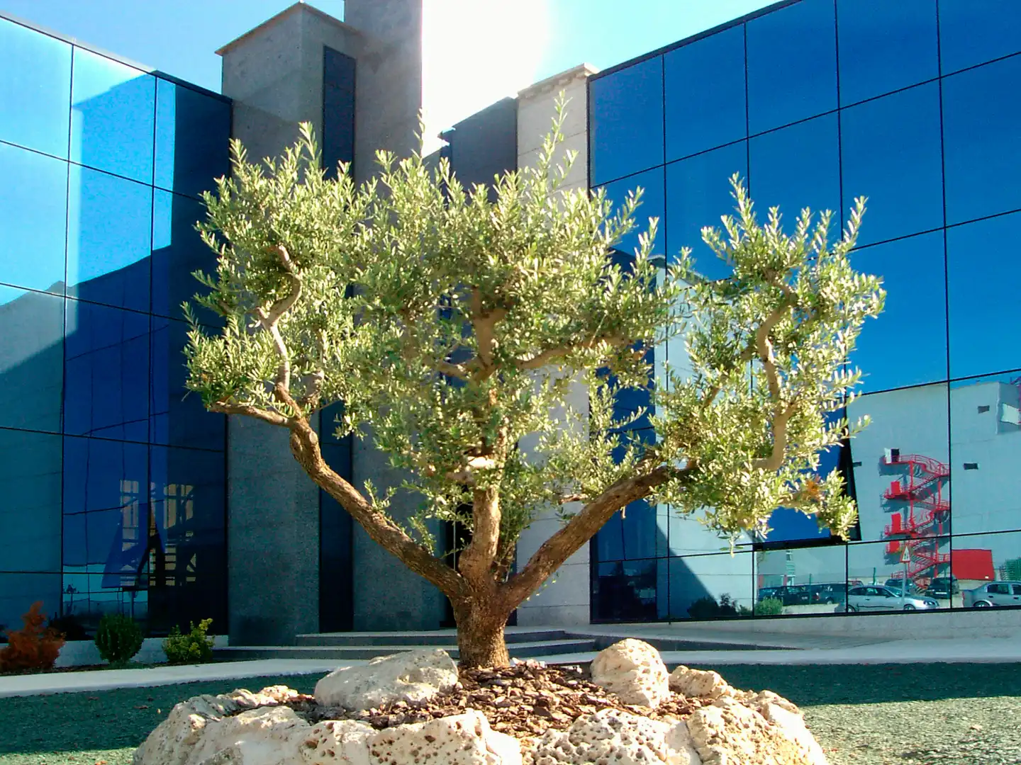 Exterior view of Buildings for sale in Venta de Baños