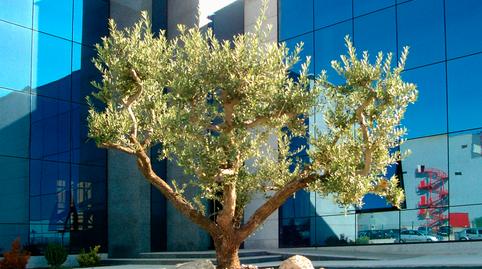 Photo 4 of Building for sale in Polígono Industrial, Venta de Baños, Palencia