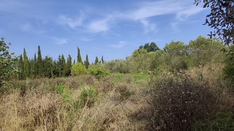 Photo 3 of Land for sale in N/a, Sa Pobla, Illes Balears