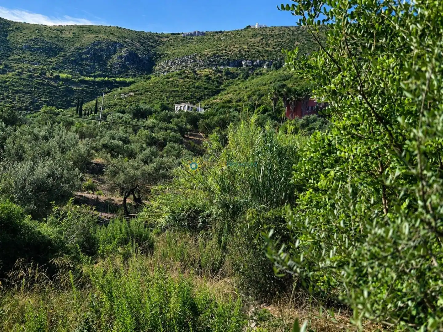 Terreno rustico in vendita a L'Atzúbia, imagen 4