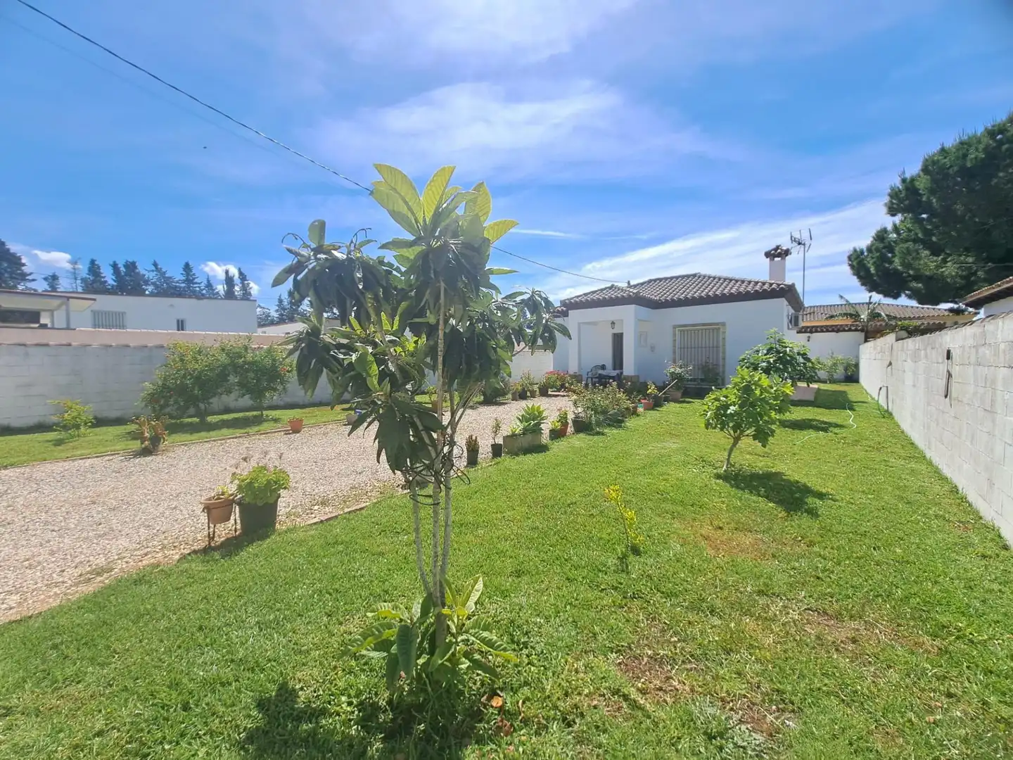 Jardín de Casa o chalet en venta en Chiclana de la Frontera con Aire acondicionado, Jardín privado y Trastero