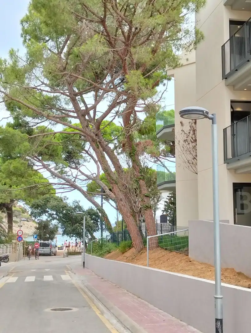 Apartment mit Terrasse zur Miete in Carrer del Rec, imagen 21