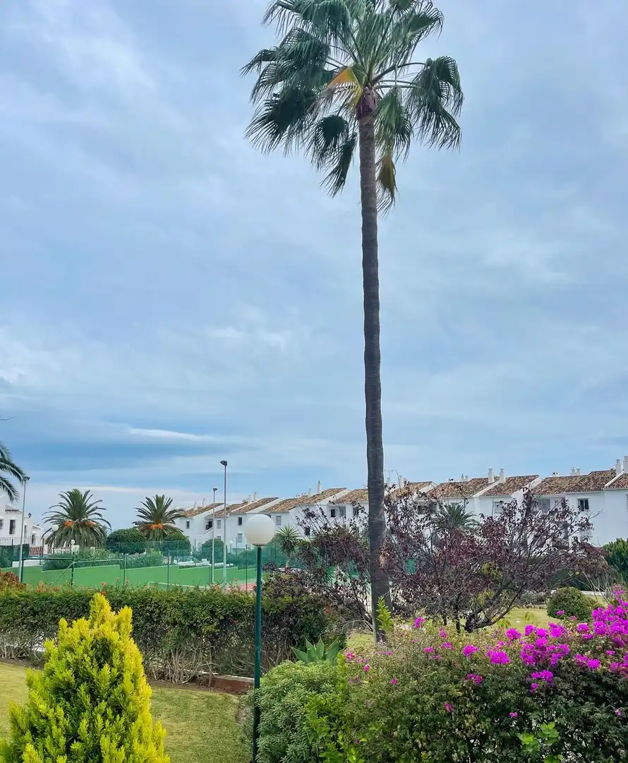 Exterior view of Apartments for rent in Marbella  with Air Conditioner, Terrace and Furnished
