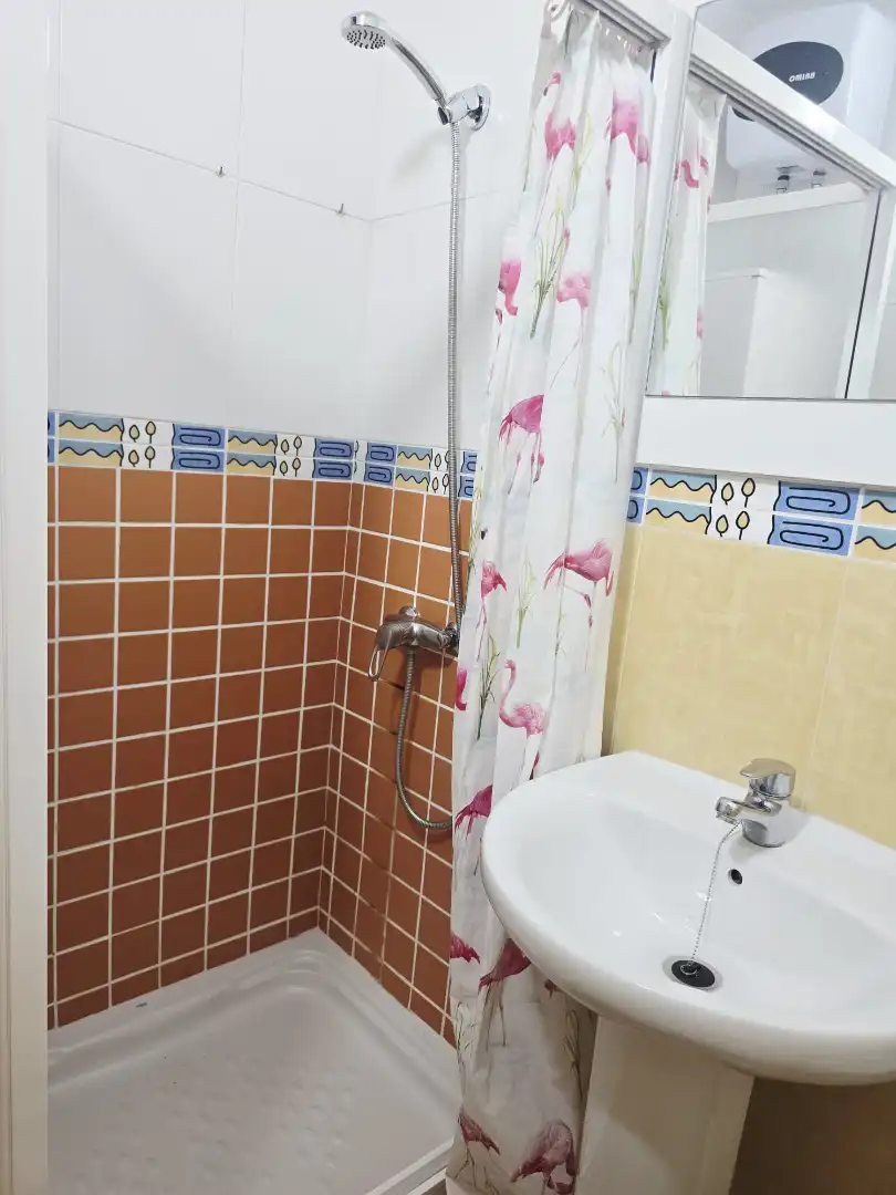 Baño de Apartamento en venta en Playa del Inglés