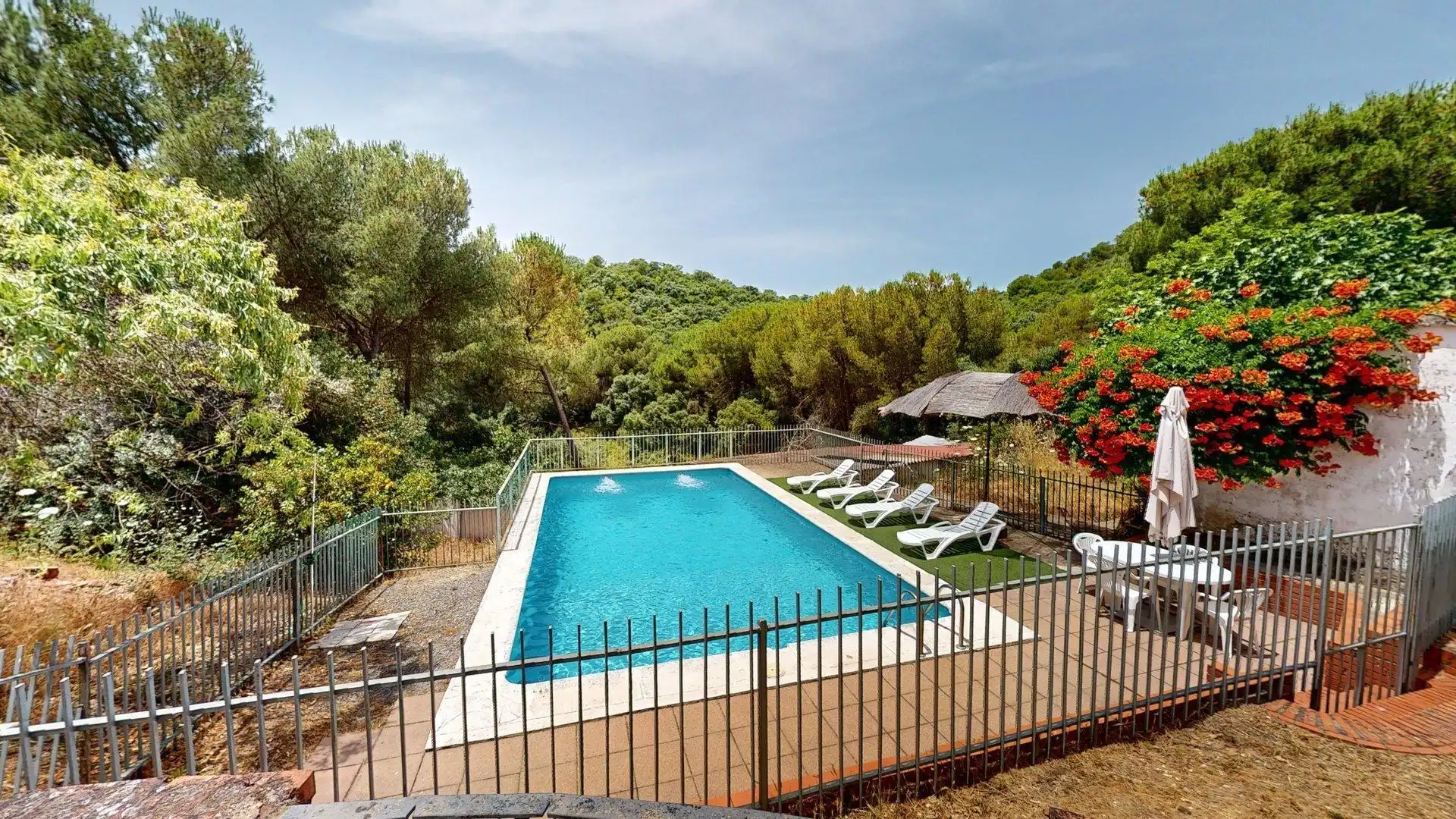 Piscina de Finca rústica en venta en Córdoba con Piscina