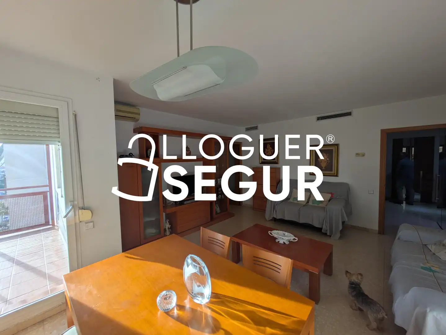 Pis amb piscina de lloguer a Berenguer el Gran, imagen 4