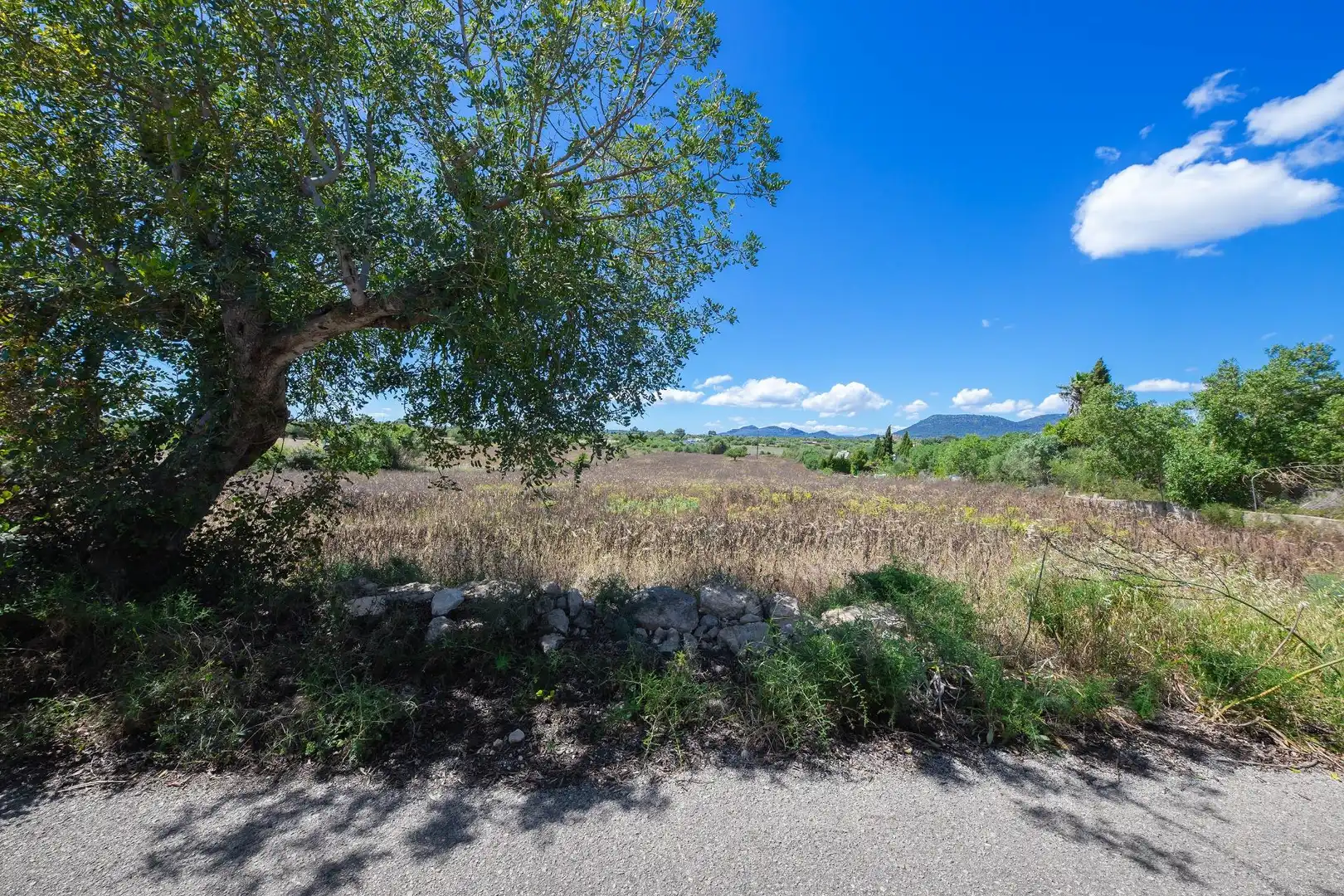 Terreno rustico in vendita a Poligono, imagen 5