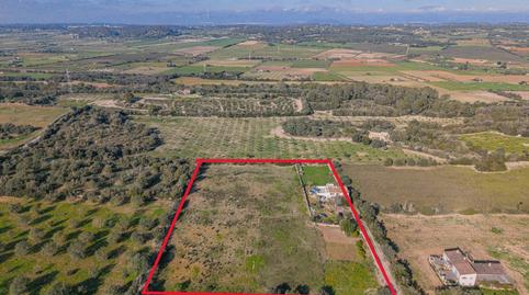 Foto 2 de Finca rústica en venta en Polígono Polígono 11 Parcela 21, Sineu, Illes Balears