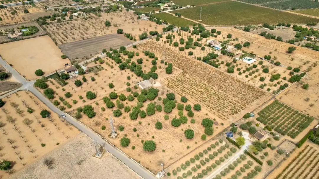 Land for sale in Consell