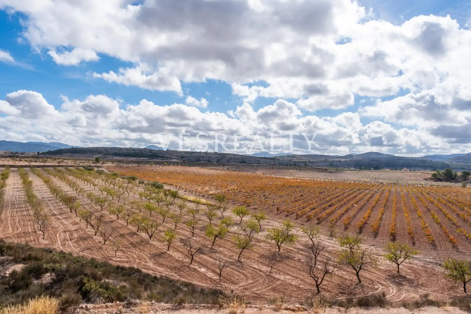 Landhaus zum Verkauf in Carretera Carretera de Jumilla, km 13, imagen 7