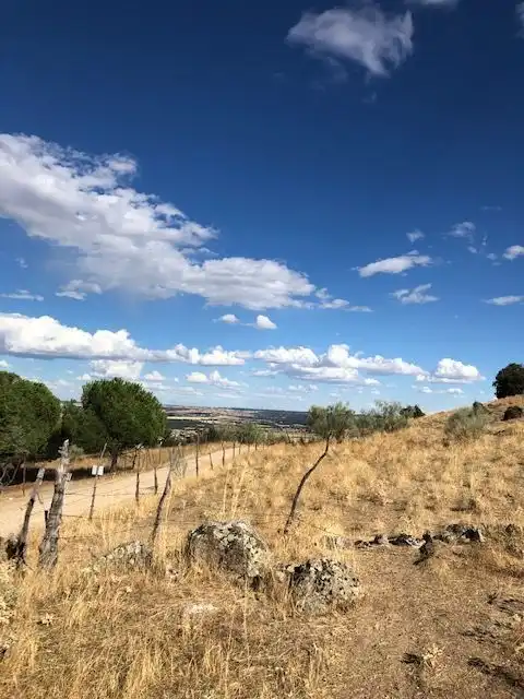 Terreny residencial en venda a Valdemorillo pueblo, imagen 21