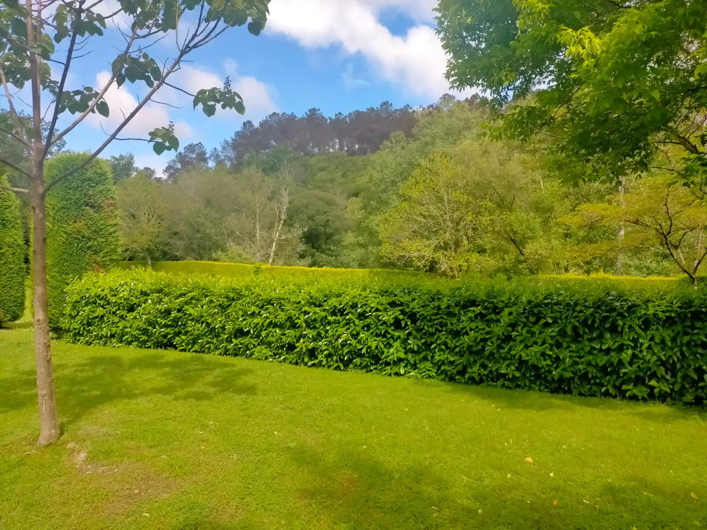 Jardín de Residencial en venta en A Merca  