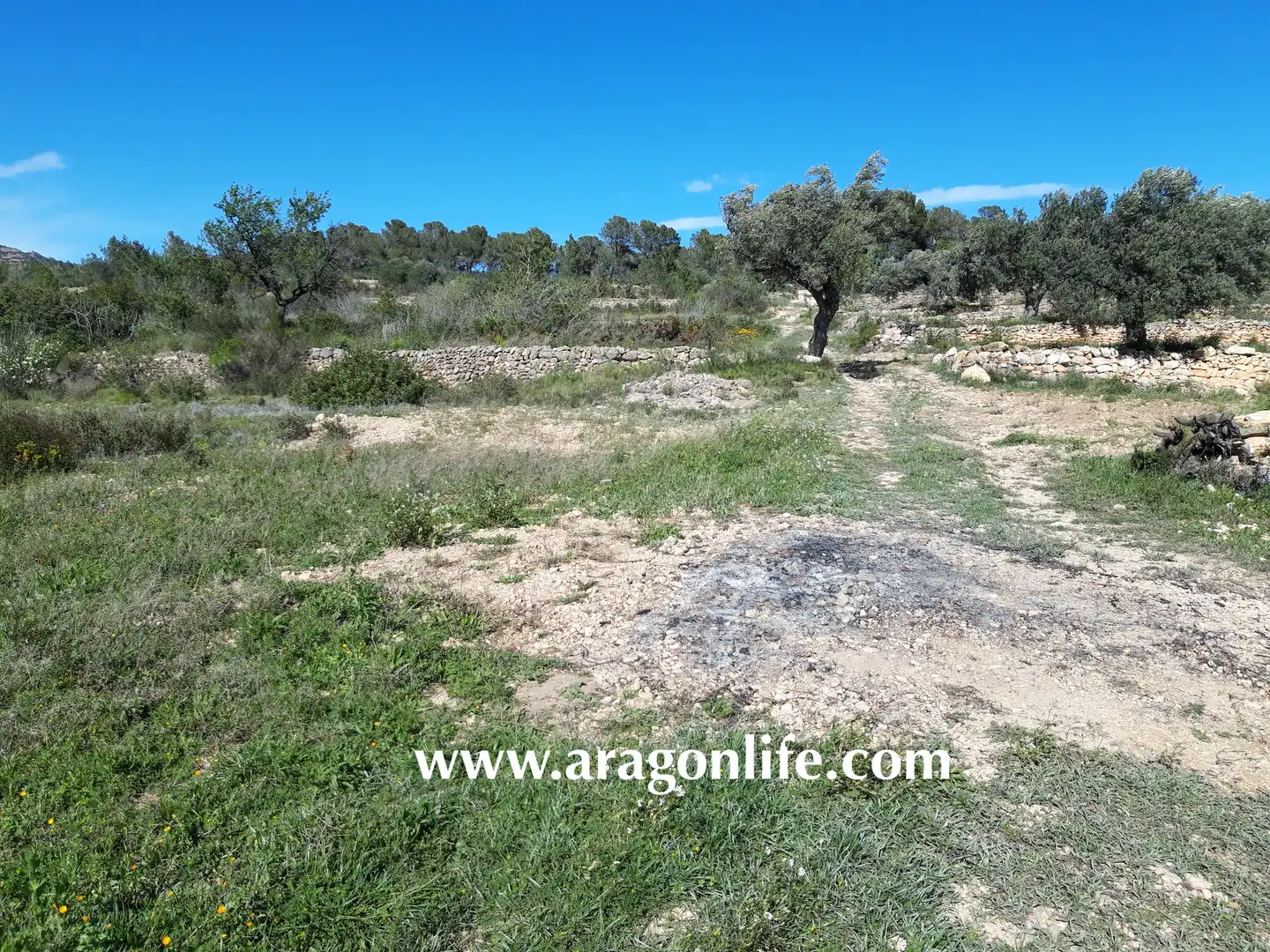Rural land for sale in C-43, imagen 15
