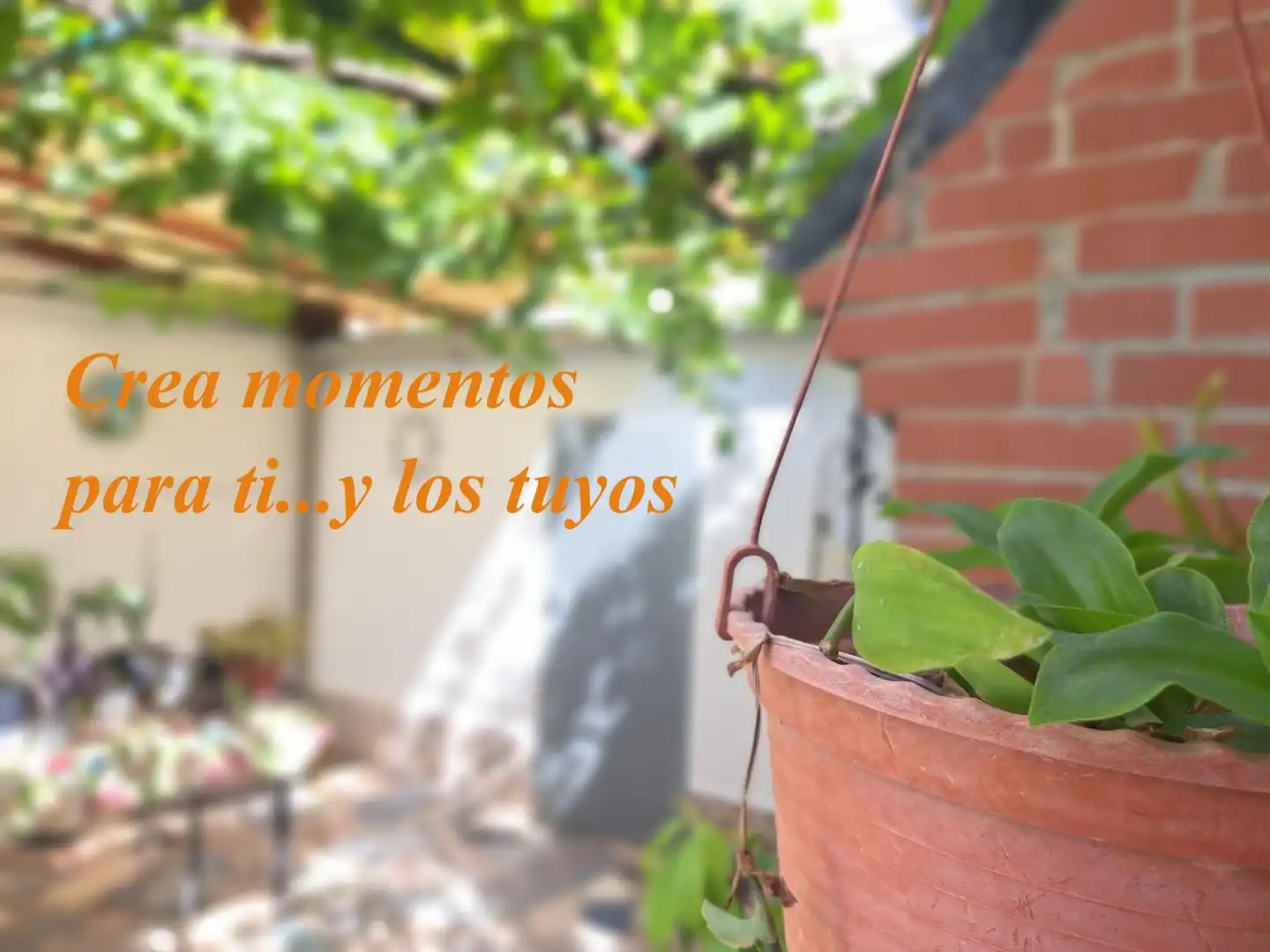 Casa amb terrassa en venda a Castellbisbal, imagen 9
