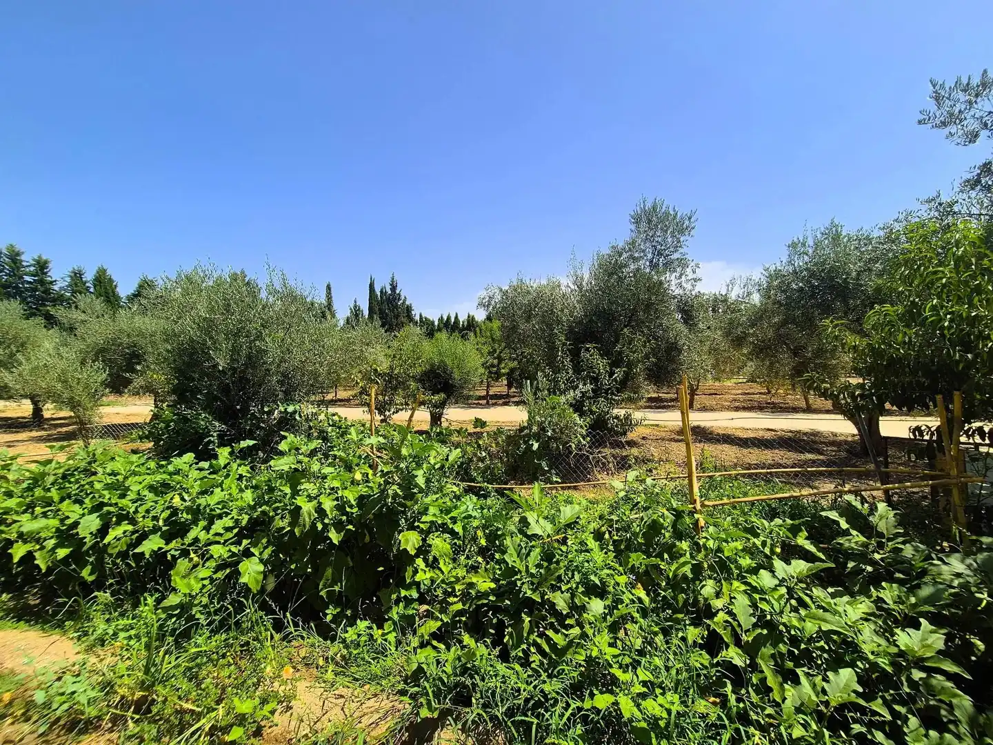 Rural land for sale in Huétor Tájar, imagen 22