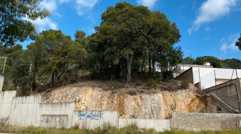 Photo 5 of Residential for sale in Carrer del Pardal, Mas Trempat - Sant Amanç - Casa Nova, Girona