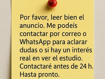 Estudio con piscina en alquiler en Doctor Ingram 8