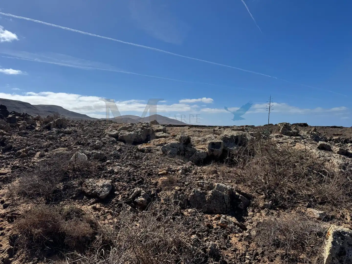 Land for sale in La Oliva