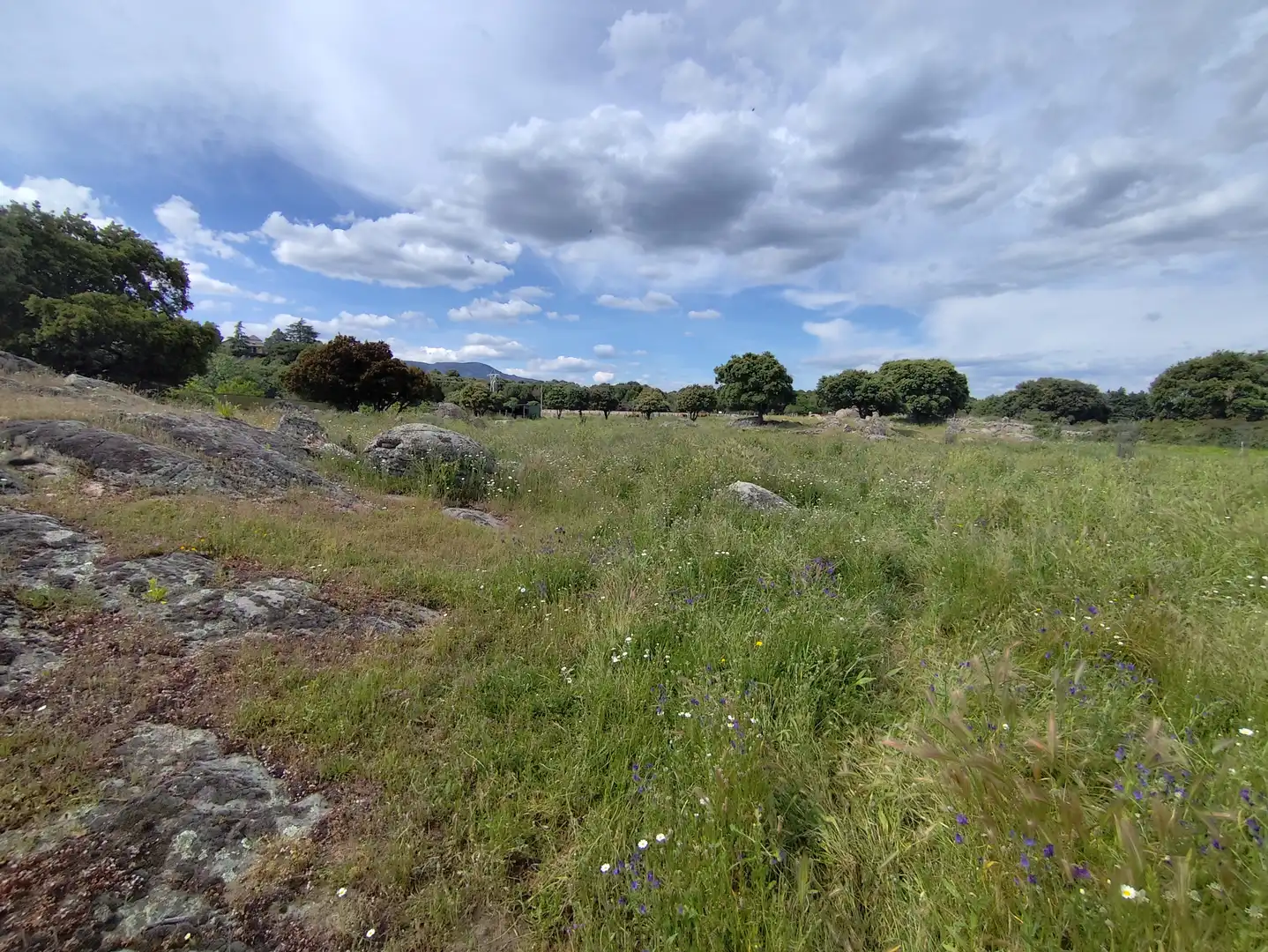 Terreno industrial en venta en Zarzalejo
