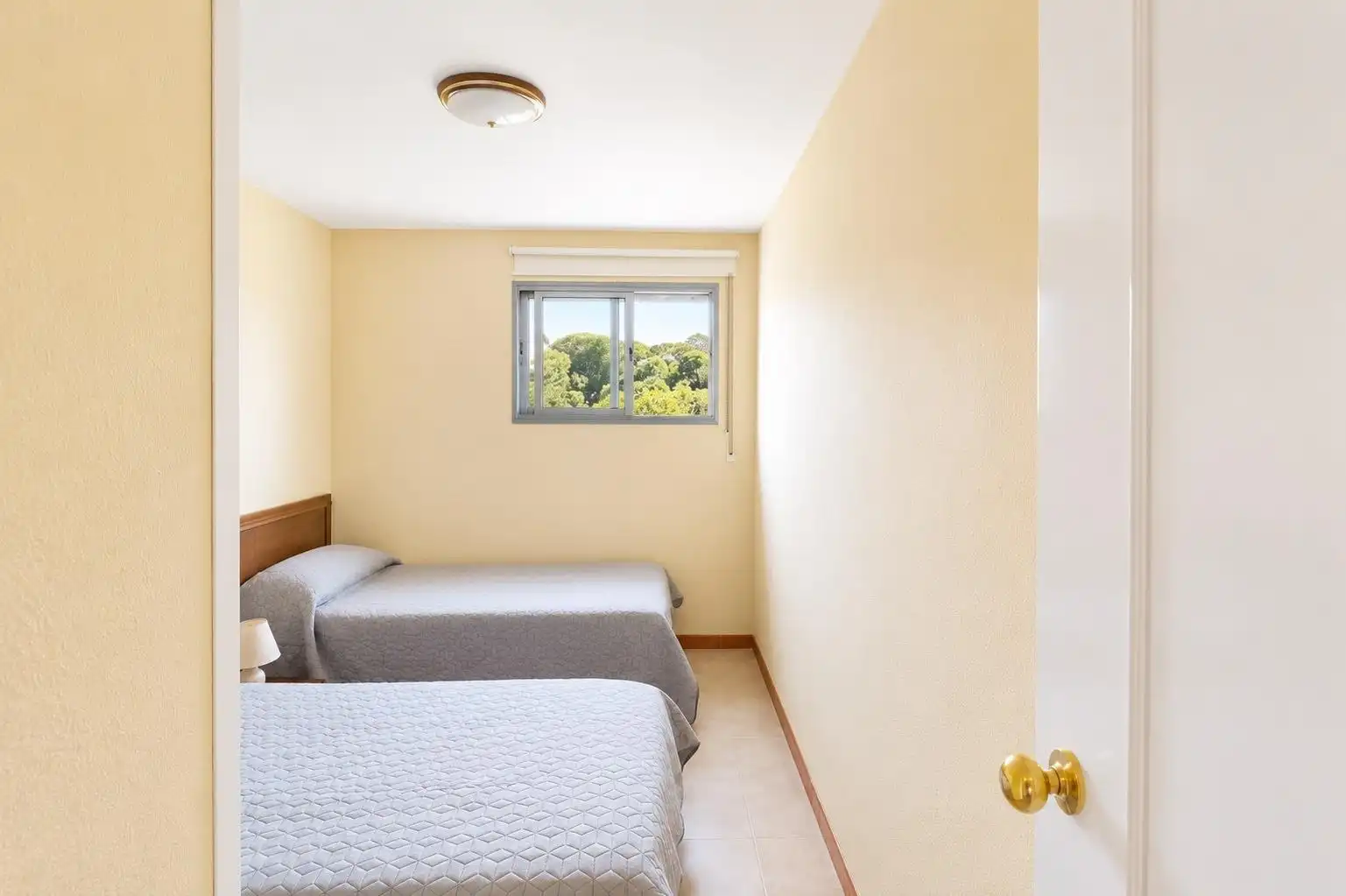 Attique avec piscine à vendre à Carrer de Brussel·les, imagen 24