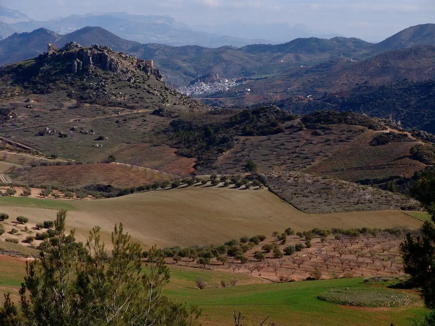 Terreno residenziale in vendita a Ardales, imagen 20