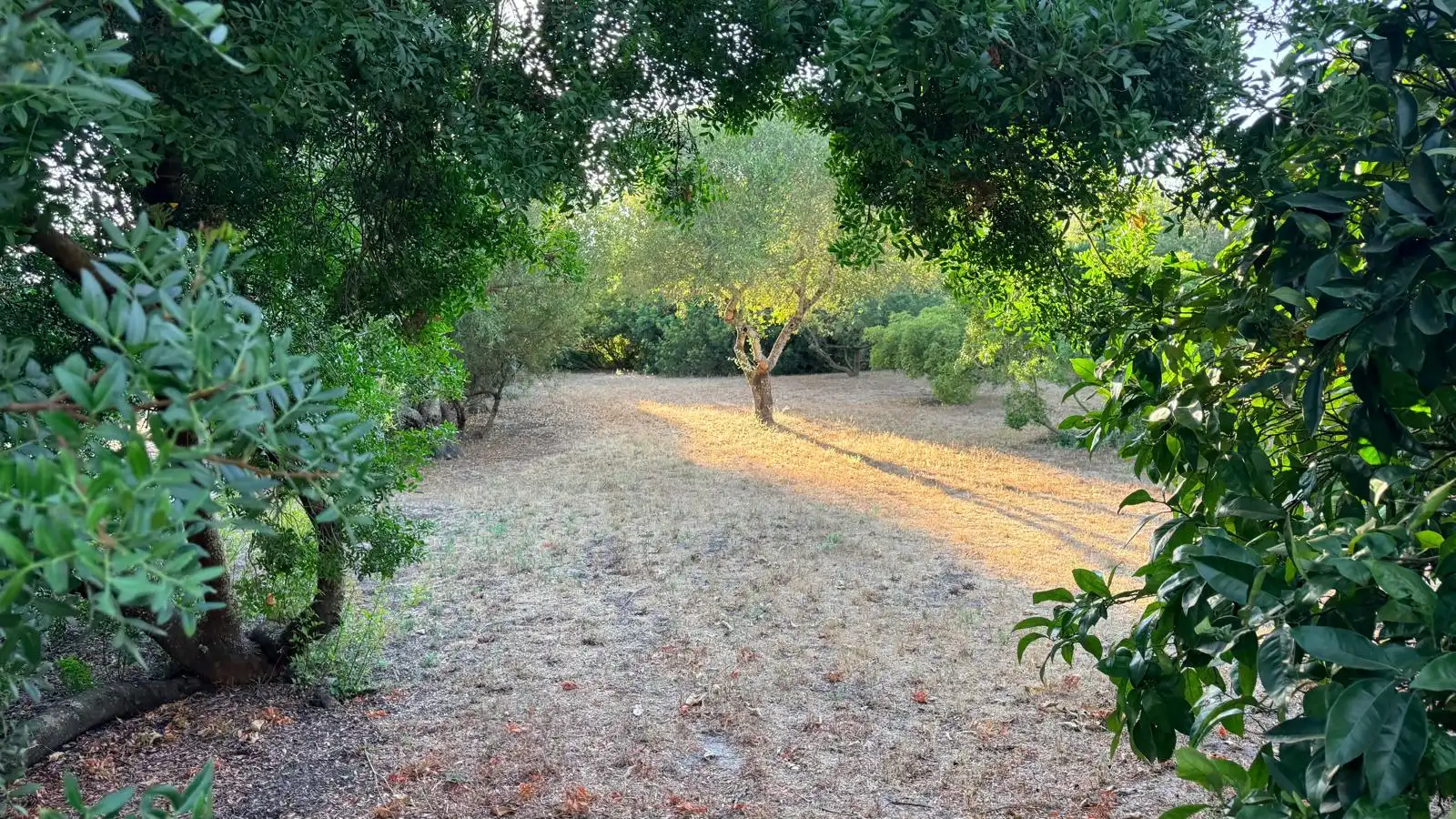 Country homes for sale in Vejer de la Frontera  with Air Conditioner, Heating and Private garden