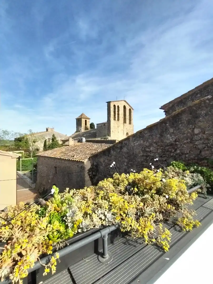 Vista exterior de Àtic de lloguer en Ullastret