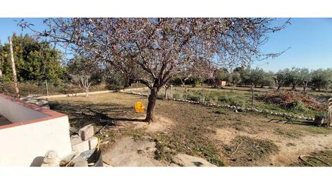 Foto 5 de Finca rústica en venta en Poligono Novals, San Jorge / Sant Jordi, Castellón