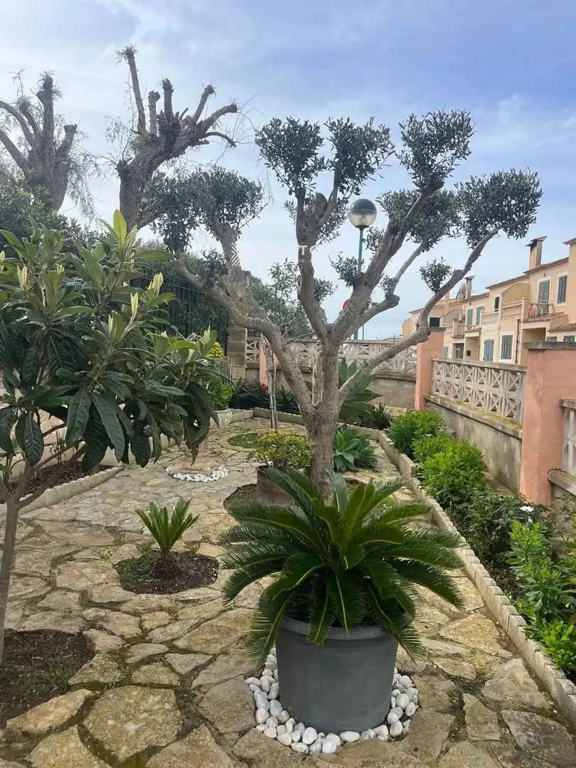 Garten von Haus oder Chalet zum Verkauf in Marratxí mit Terrasse und Schwimmbad