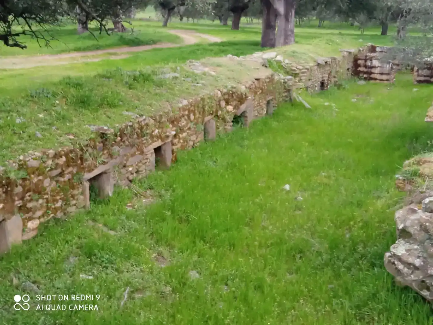 Finca rústica en venta en Aldeacentenera con Jardín privado