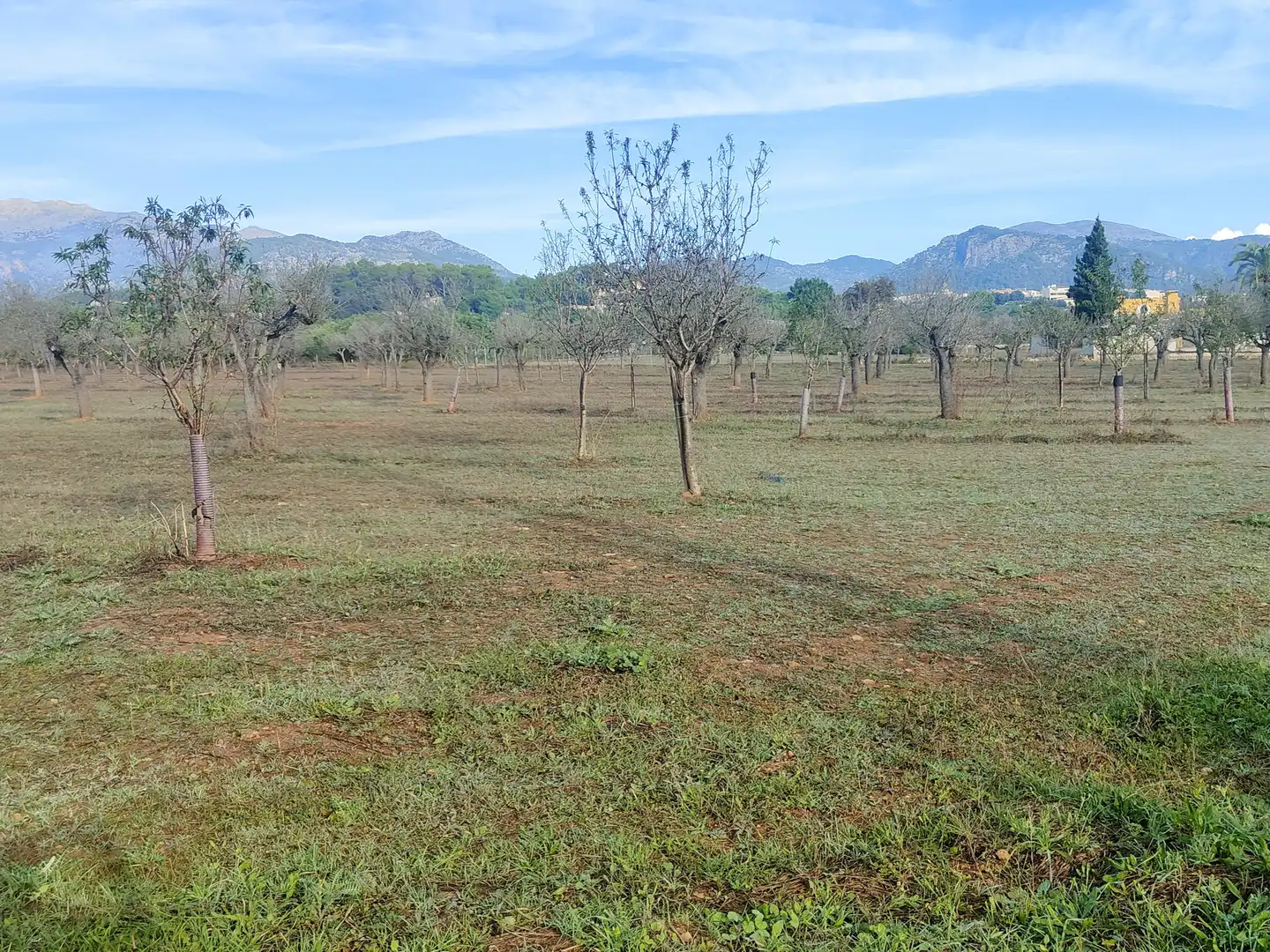 Terrain rustique à vendre à Camí Moscari 26, imagen 25