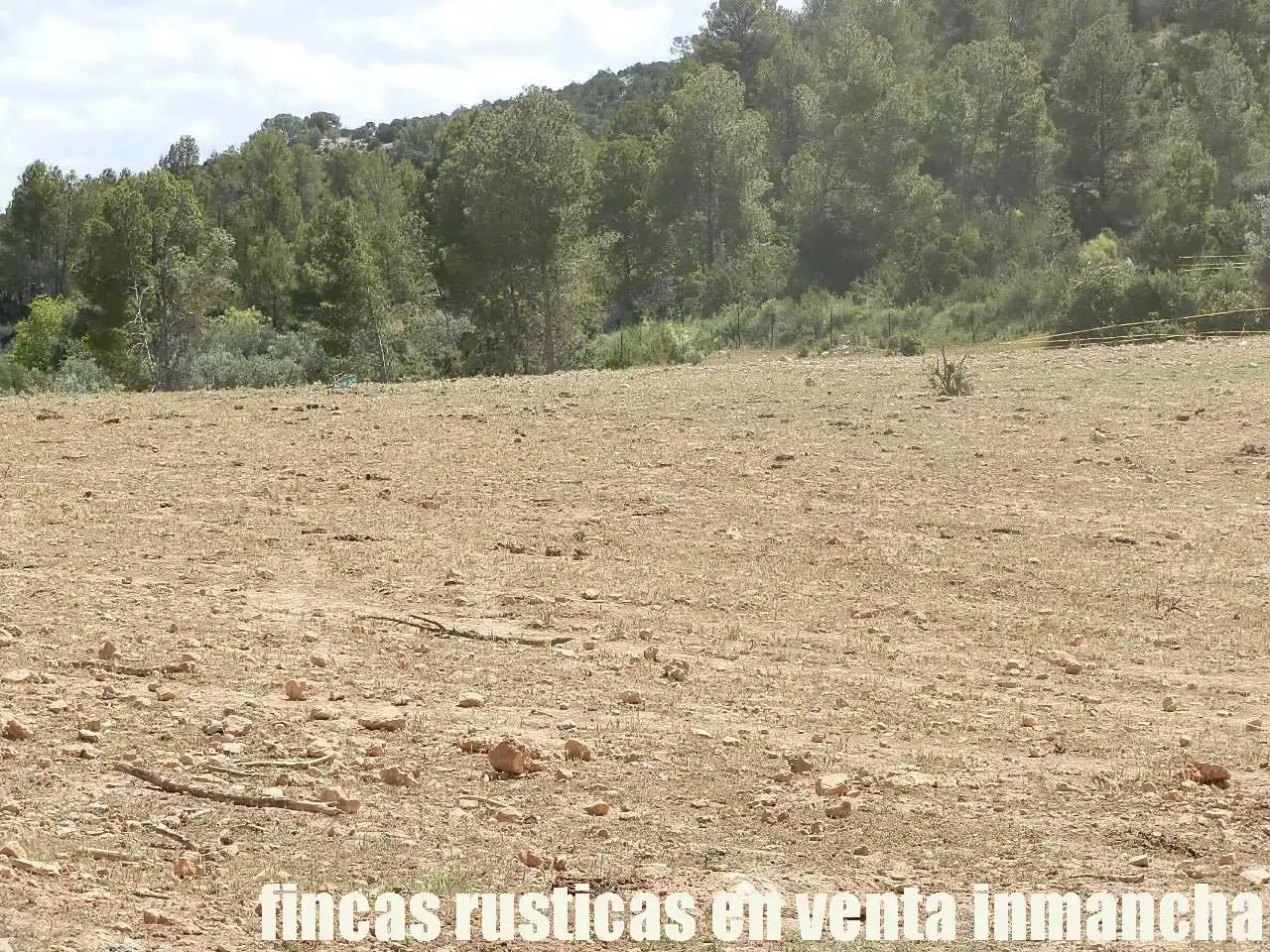 Rural land for sale in Letur, imagen 10