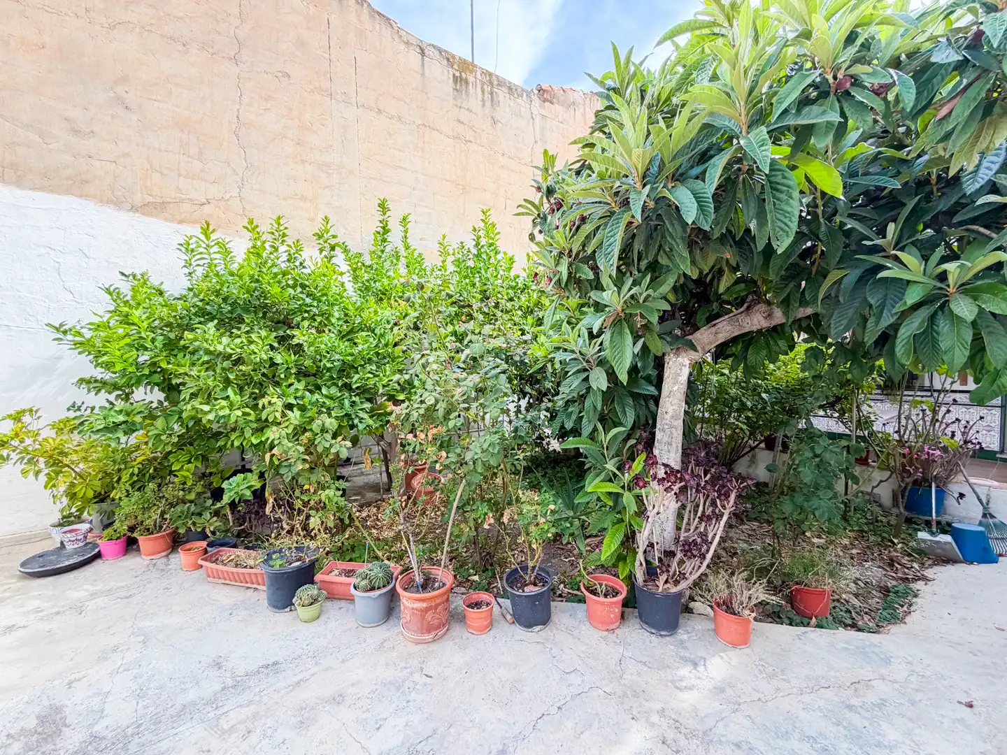 Terrasse von Einfamilien-Reihenhaus zum Verkauf in Baza mit Privatgarten, Parkett und Abstellraum
