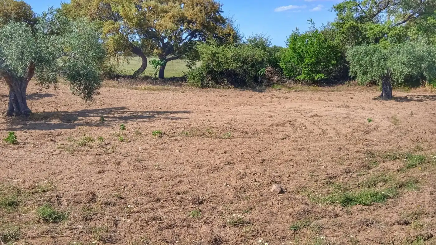 Casa o chalet en venta en Montánchez
