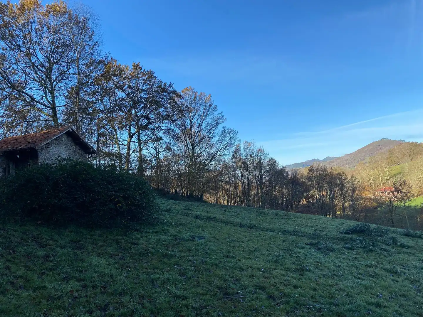 Terreno rustico in vendita a Cangas de Onís, imagen 14