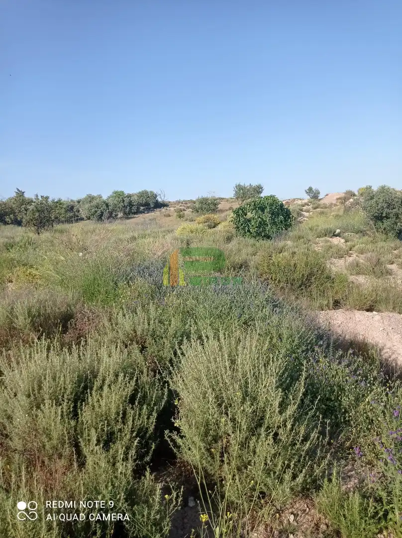 Lands and plots for sale in El saltador, imagen 4