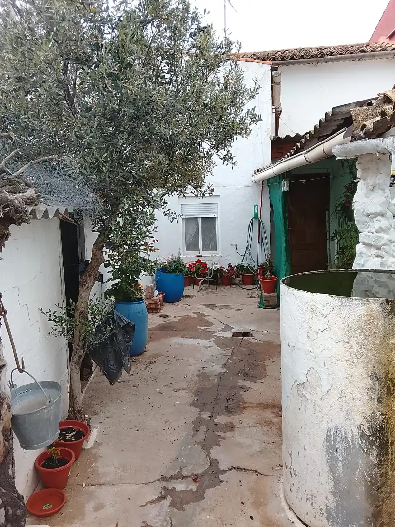 Jardín de Casa o chalet en venta en Vara de Rey con Amueblado