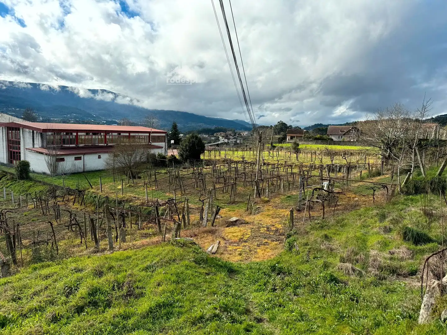 Rural land for sale in Arbo, imagen 17