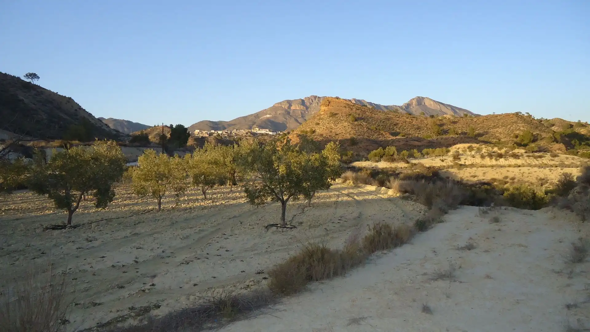 Lands and plots for sale in Abanilla