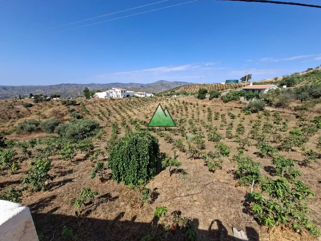 Finca rústica en venda a Carretera Almachar-Velez (Triana) (Triana-Zorrilla, Norte - Barrio del Pilar - El Reñidero