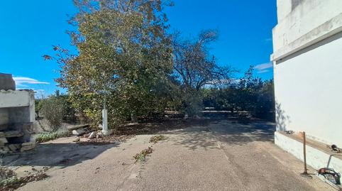 Foto 5 de Finca rústica en venta en Sollana, Valencia