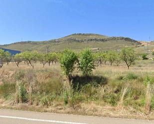 Land for sale in Alhama de Aragón