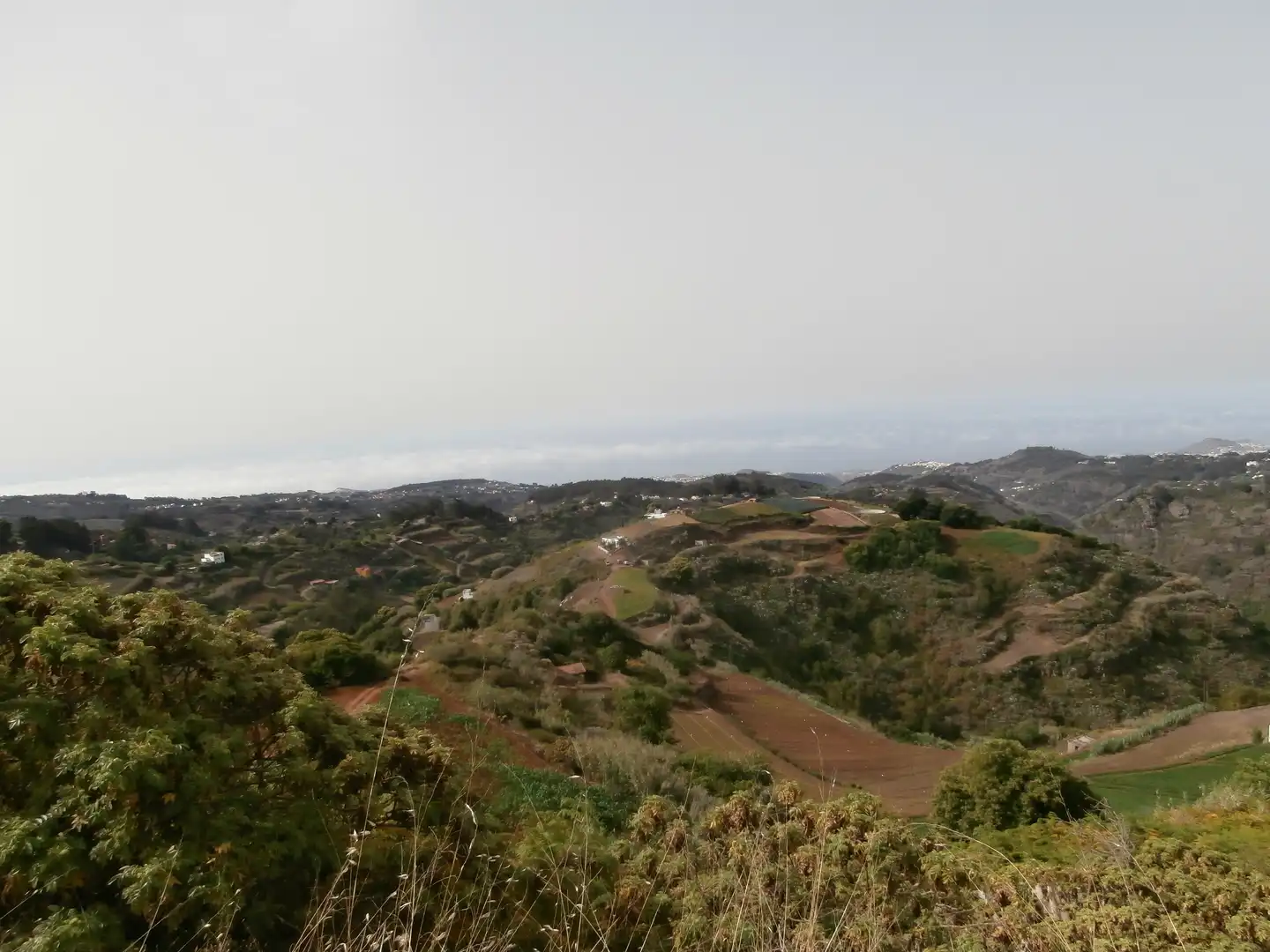 Finca rústica en venta en Camino Lomo el Marco, 41, Moya (Las Palmas)