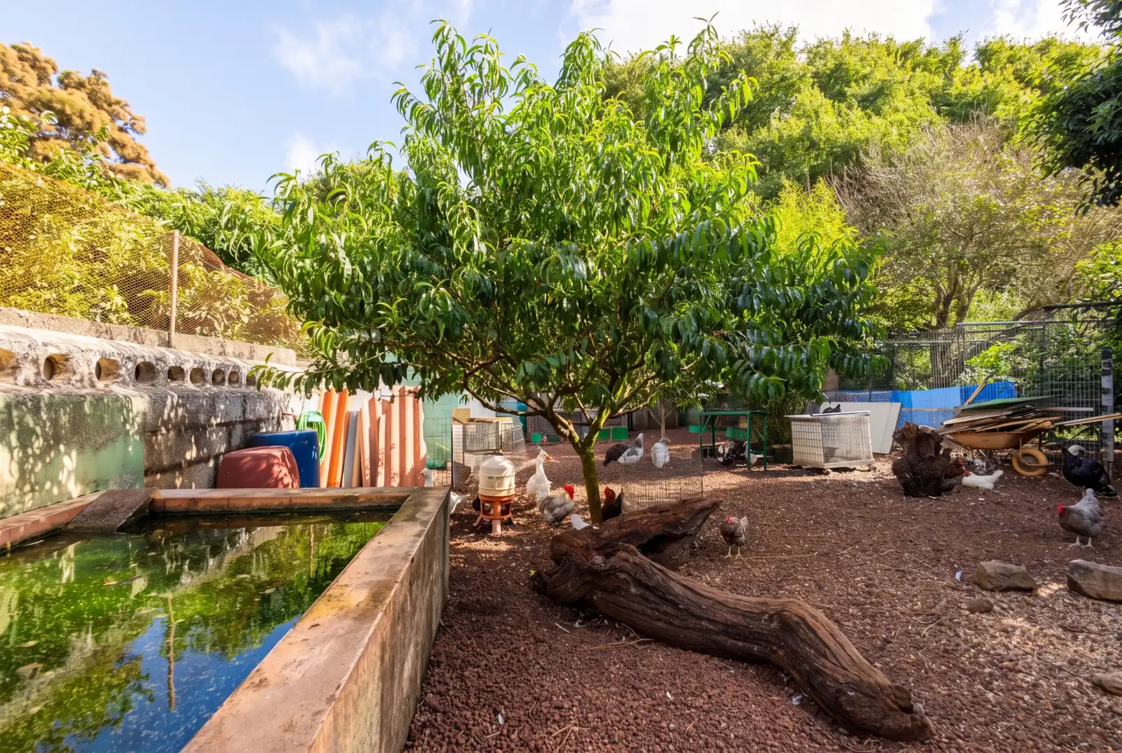 Jardí de Casa o xalet en venda en Guamasa - El Ortigal - Los Rodeos