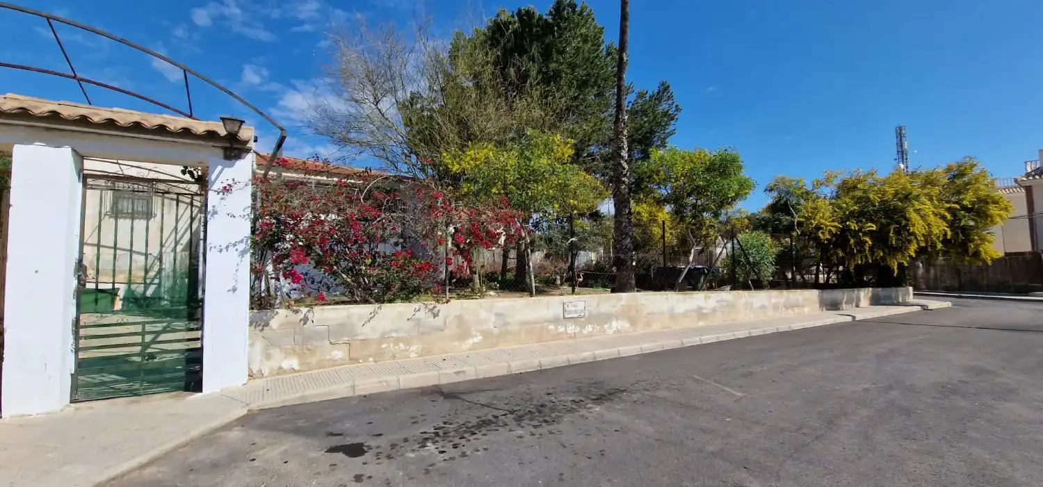 Vista exterior de Finca rústica en venda en Algorfa amb Jardí privat