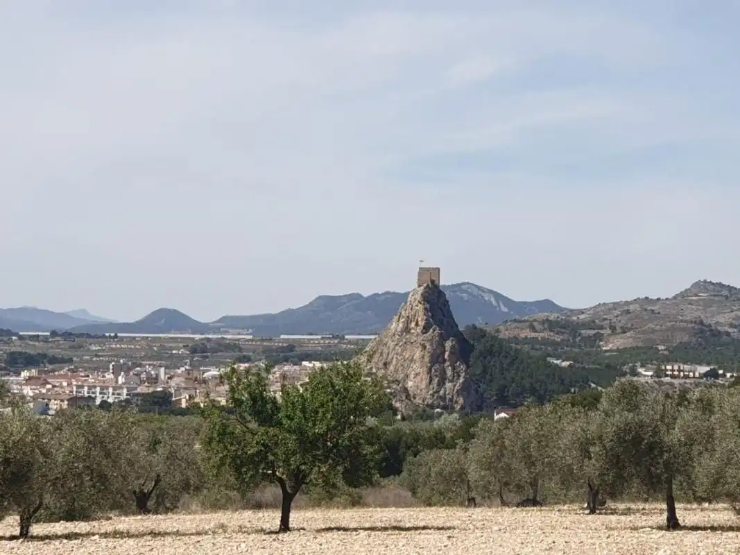 Residential land for sale in Sax, imagen 2