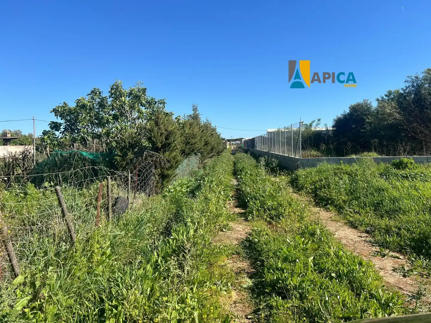 Terreno en venta en Conil de la Frontera