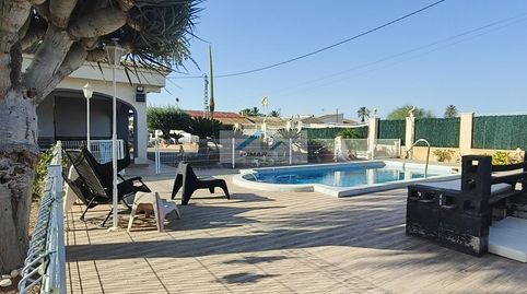Foto 3 de Finca rústica en venta en La Foia - Daimés - Asprella, Elche / Elx
